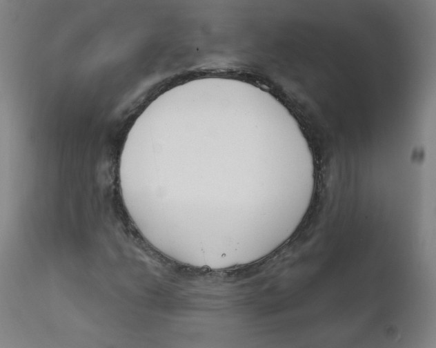 X0000111611206200908141246