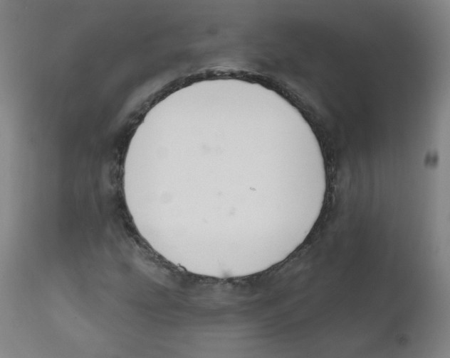 X0000111611207200908141246