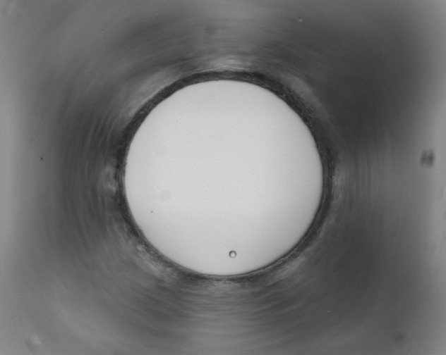 X0000111611209200908141246