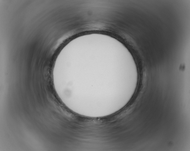 X0000111611210200908141246
