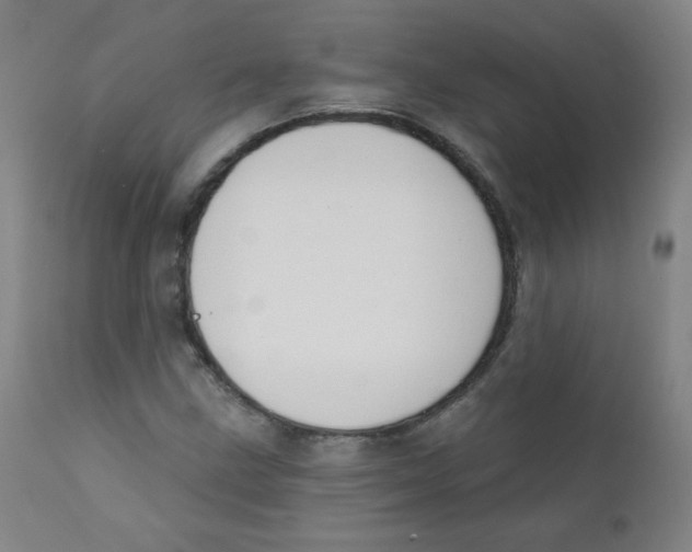 X0000111611211200908141246