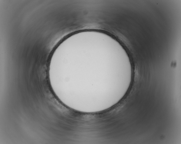 X0000111611212200908141246