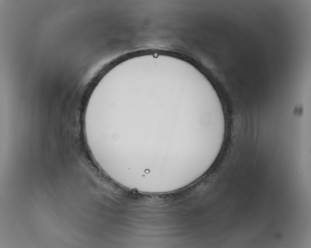 X0000111611214200908141246