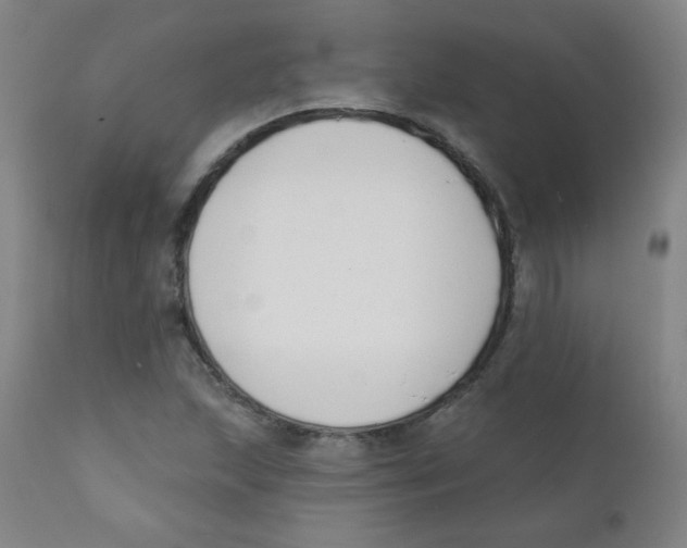 X0000111611215200908141246