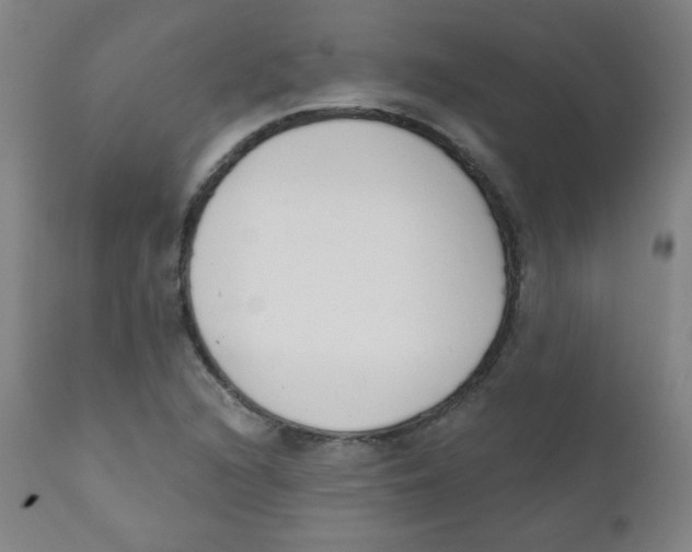 X0000111611216200908141246
