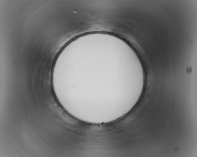 X0000111611220200908141246