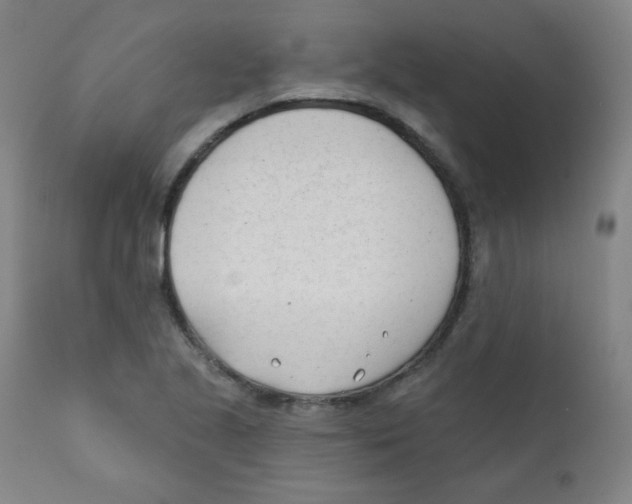 X0000111611221200908141246