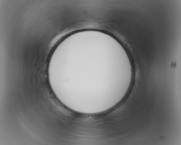 X0000111611222200908141246