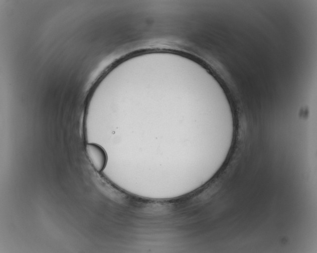 X0000111611224200908141246