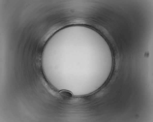 X0000111611225200908141246