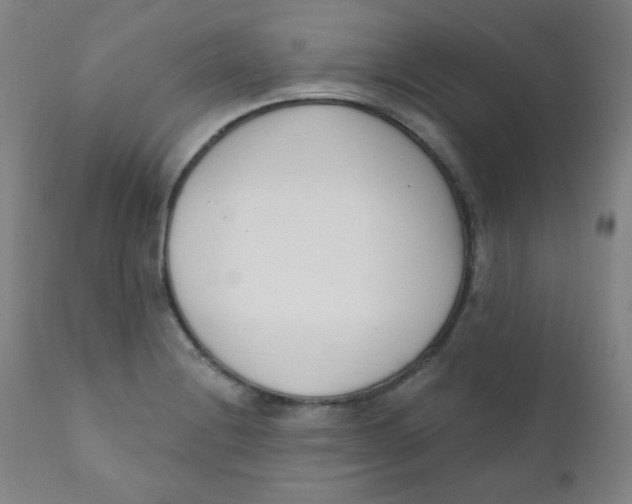 X0000111611228200908141246