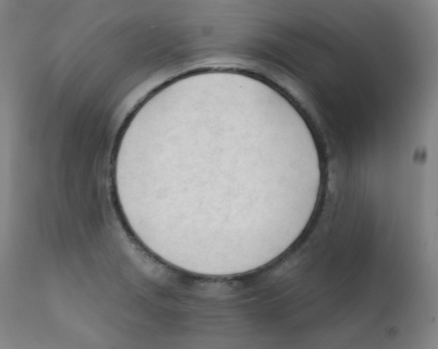 X0000111611229200908141246