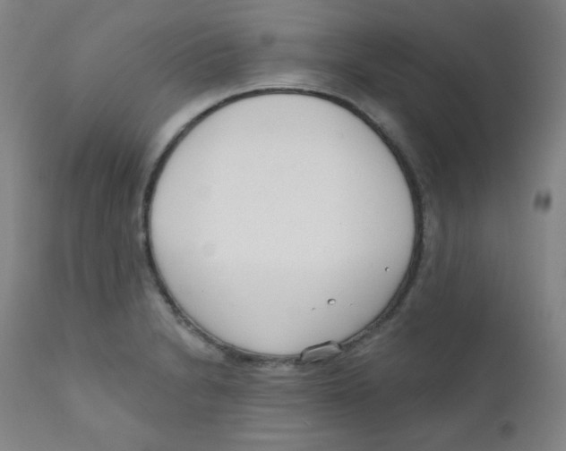 X0000111611230200908141246