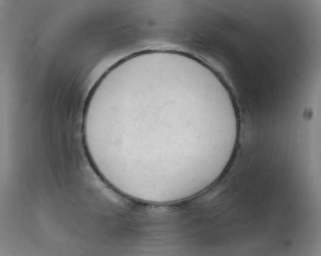 X0000111611231200908141246