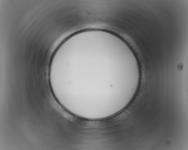 X0000111611232200908141246