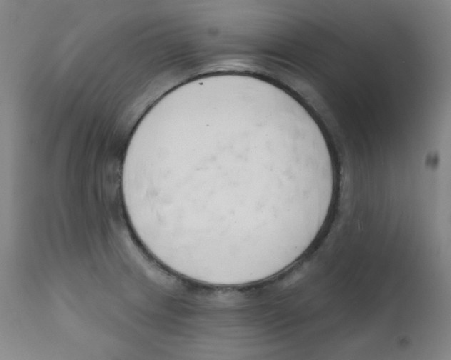 X0000111611233200908141246