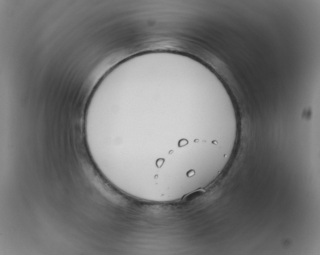X0000111611234200908141246