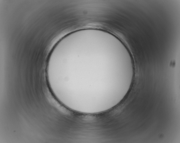 X0000111611235200908141246