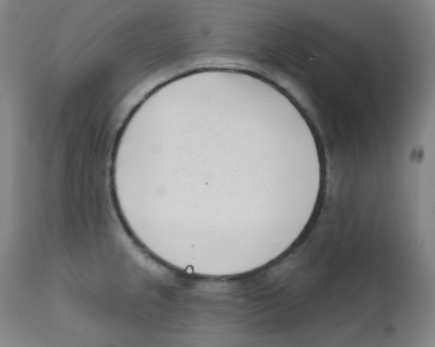 X0000111611237200908141246