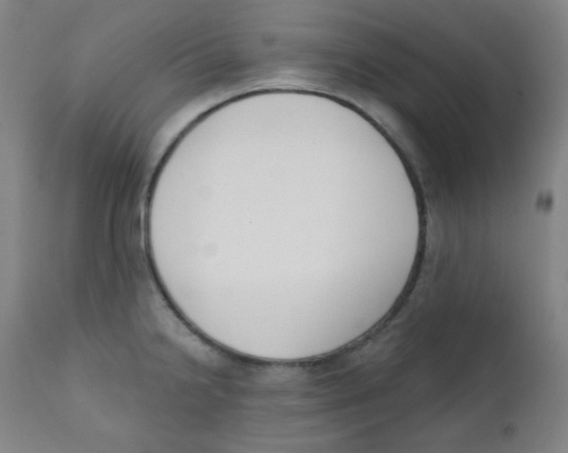 X0000111611238200908141246