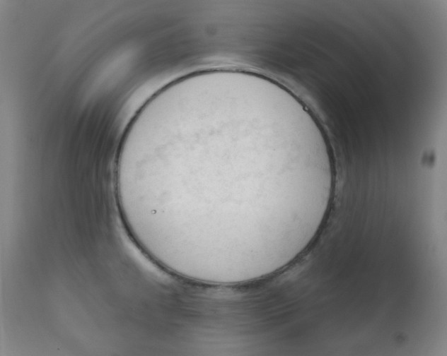 X0000111611239200908141246