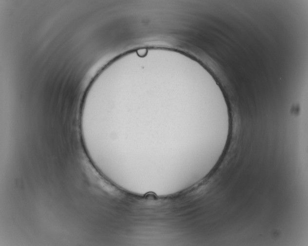 X0000111611240200908141246