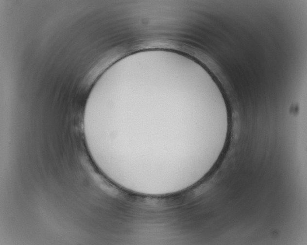 X0000111611241200908141246