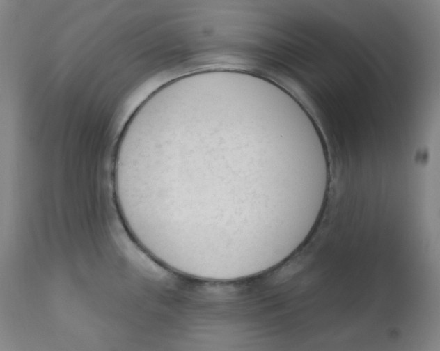 X0000111611243200908141246
