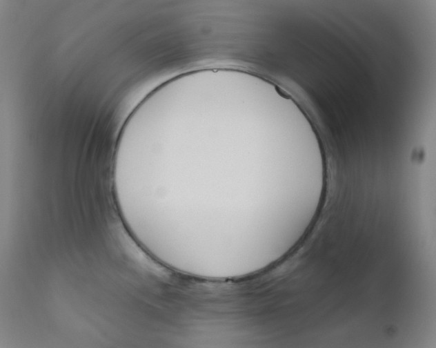X0000111611244200908141246