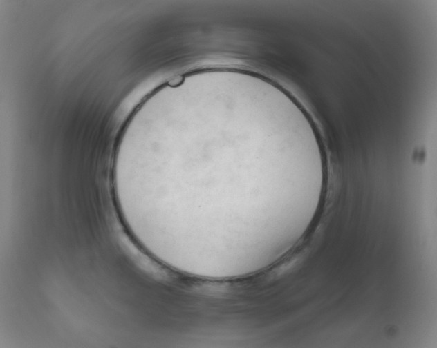 X0000111611245200908141246