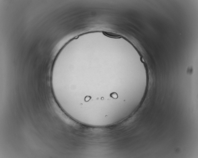 X0000111611246200908141246