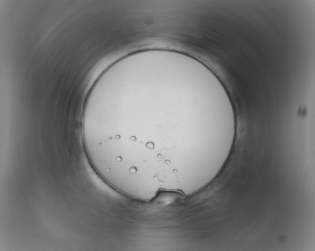 X0000111611247200908141246