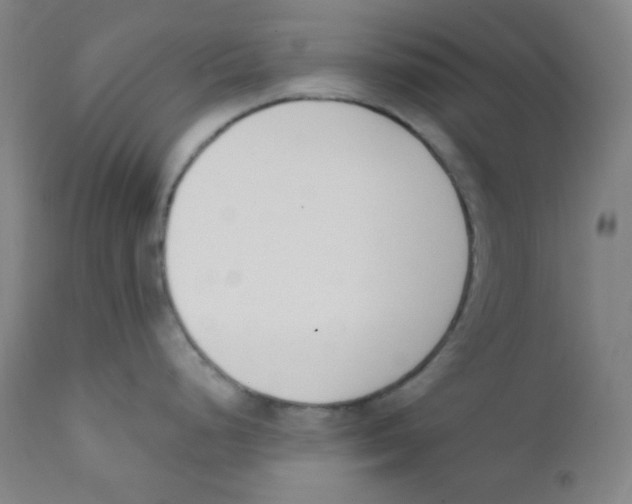 X0000111611248200908141246