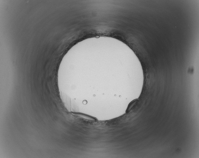X0000111611249200908141245