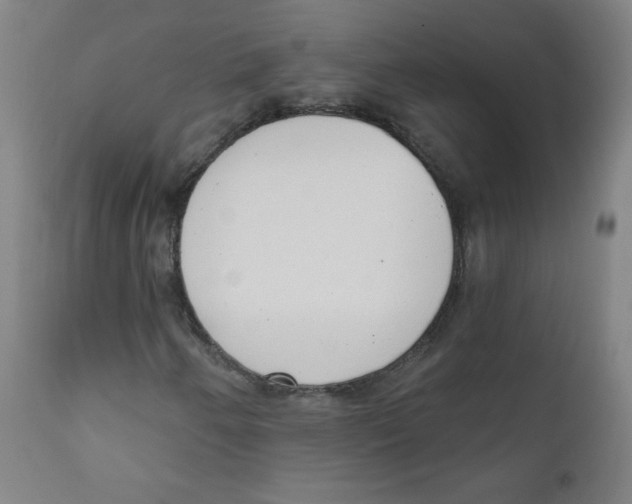 X0000111611250200908141245