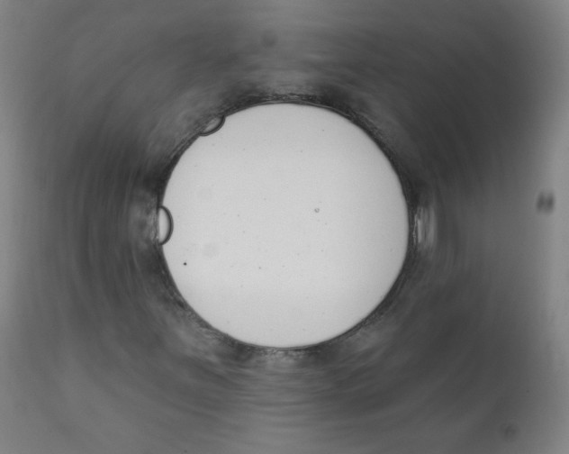 X0000111611251200908141245