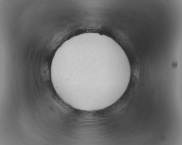X0000111611252200908141245