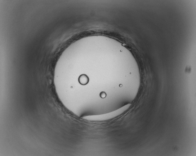X0000111611253200908141245