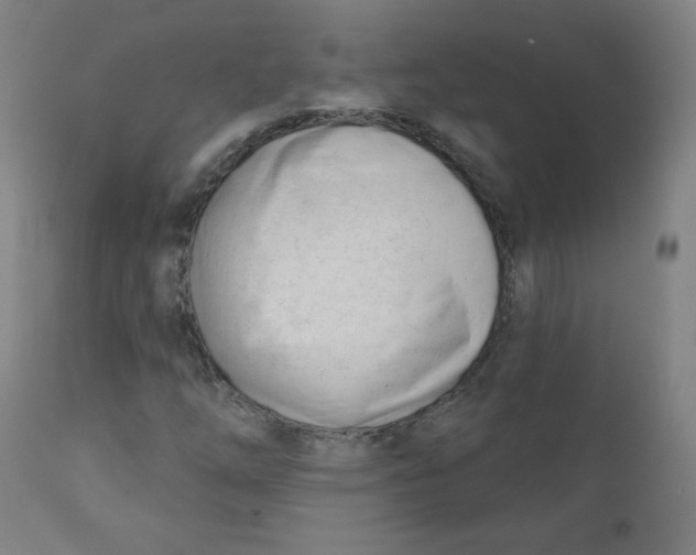 X0000111611254200908141245