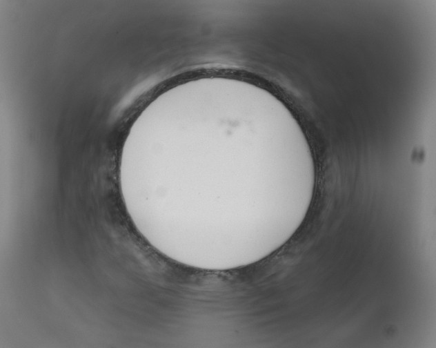 X0000111611255200908141245