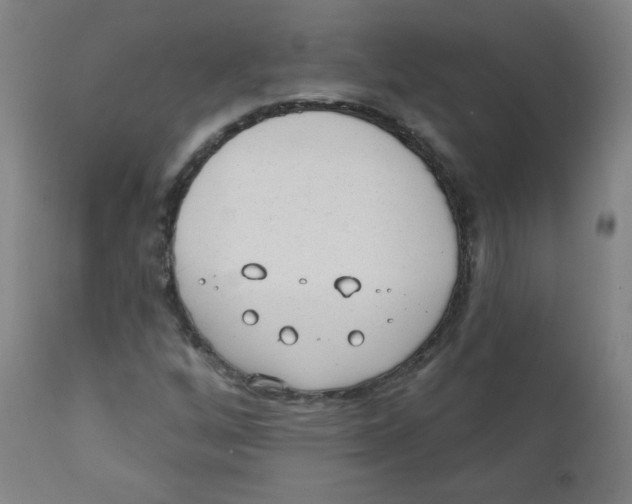 X0000111611256200908141245