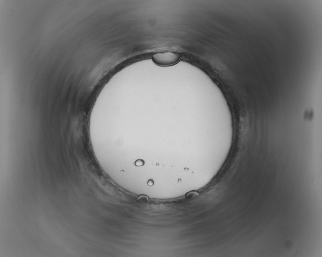 X0000111611257200908141245