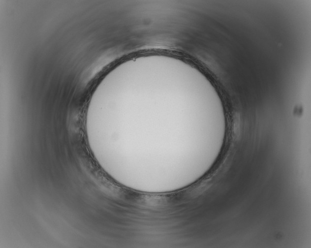 X0000111611258200908141245