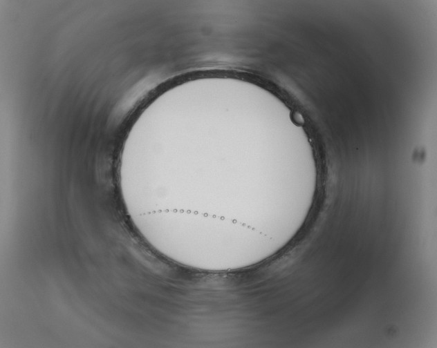 X0000111611259200908141245