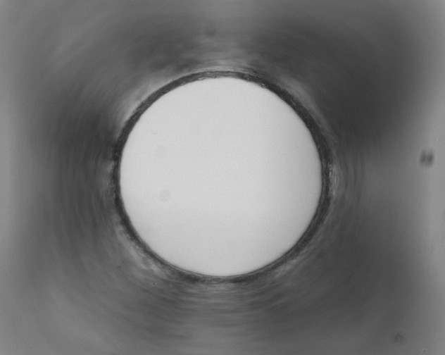 X0000111611260200908141245