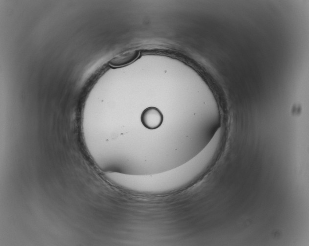 X0000111611261200908141245