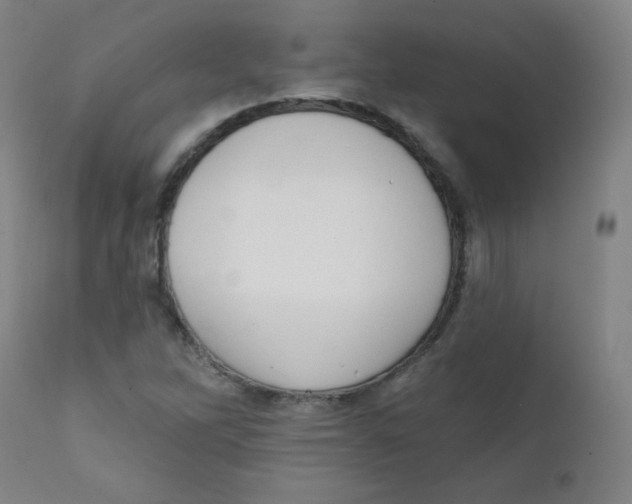 X0000111611262200908141245