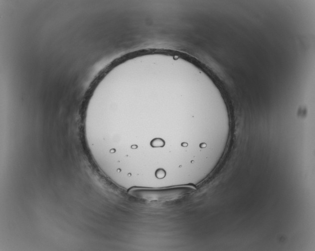 X0000111611264200908141245