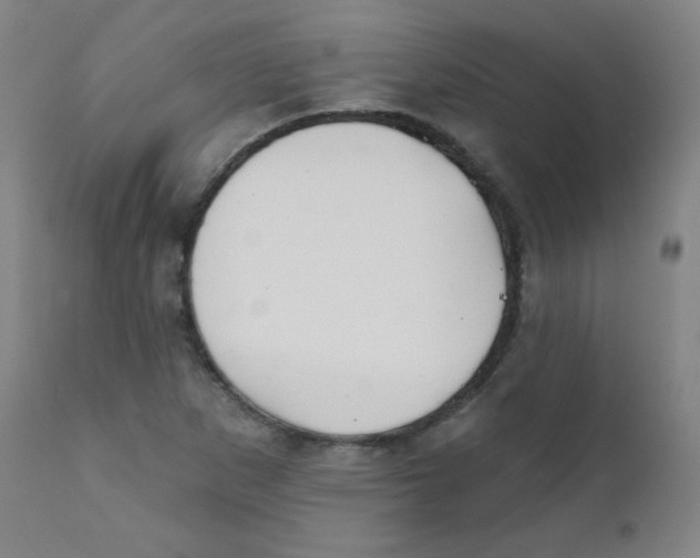 X0000111611265200908141245