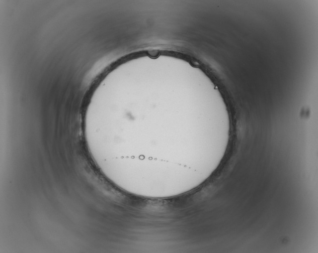 X0000111611267200908141245